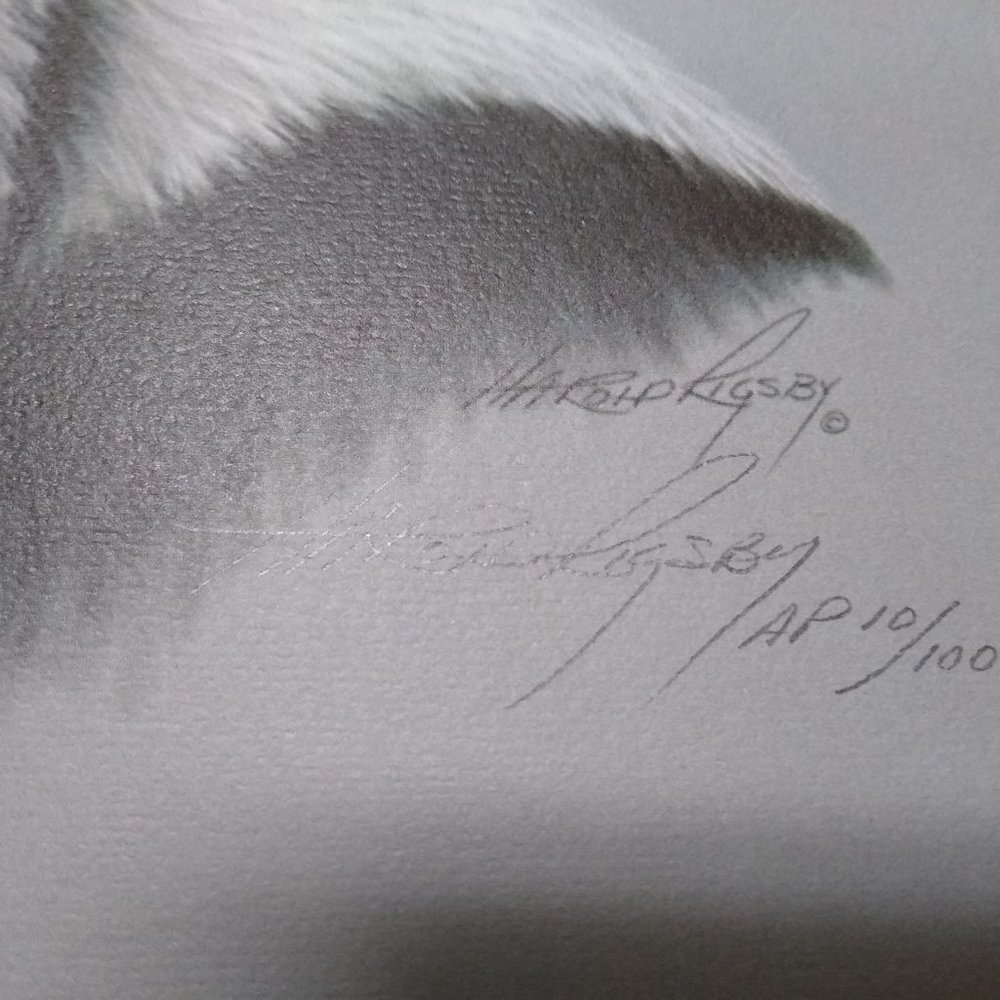 Panda II AP 10/100 by Harold Rigsby Signed - Picture 7 of 9